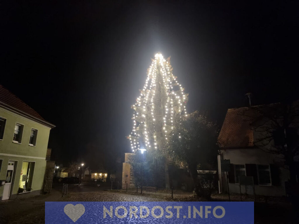 Weihnachtsdorf Himmelpfort, November 2024, beleuchteter Weihnachtsbaum