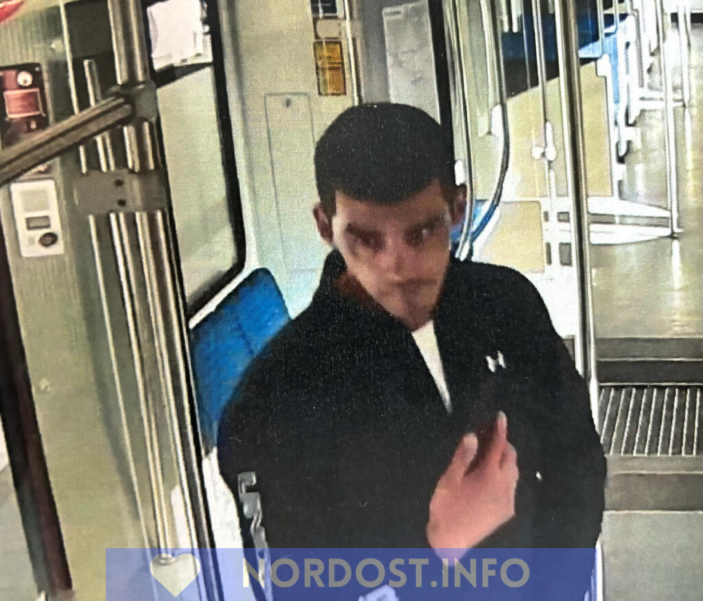 in S-Bahn zwischen Berlin und Oranienburg das Handy einer schlafenden Frau gestohlen