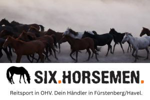 Reitsport Handel Fürstenberg/Havel, Pferde, Reiter, OHV, Uckermark