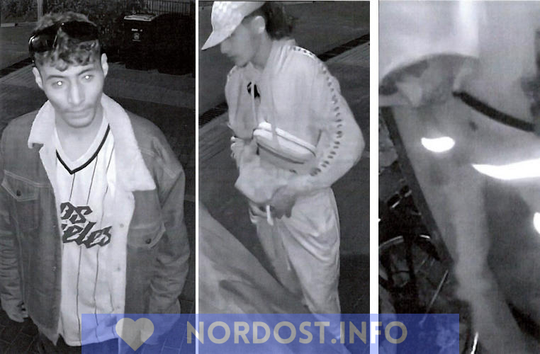 Mutmaßliche Fahrraddiebe in Oranienburg gesucht, Fahndung Polizei Brandenburg